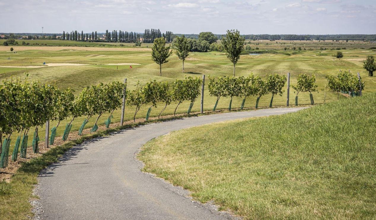 GGGR Club Skalica (SK)